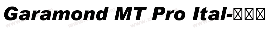 Garamond MT Pro Ital字体转换